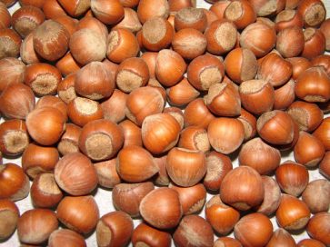 فندق اشکور