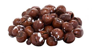 فندق براق نمکی درجه1